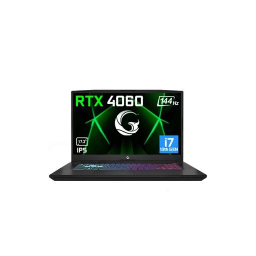 GAME GARAJ Slayer3 7XL-4060 C2 i7-13700H 32Gb 17.3" FreeDos Notebook